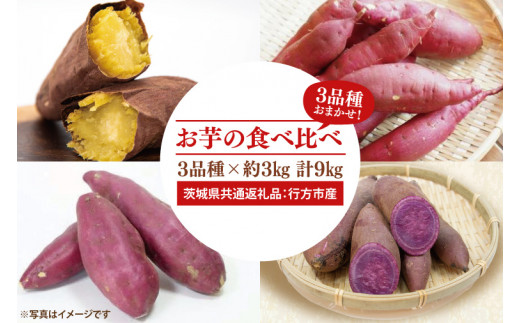 【先行予約】お芋の食べ比べ さつまいも 3品種×約3㎏ 計9㎏（茨城県共通返礼品：行方市産）※2024年10月上旬～2025年3月下旬頃に順次発送予定（CD088）