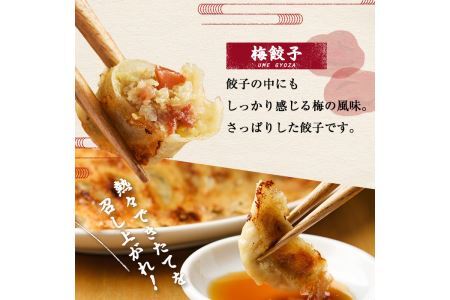 博多骨折り餃子と梅餃子(合計100個・餃子50個＋梅餃子50個)冷凍 一口 ひとくち ぎょうざ ギョウザ 手作り 国産 焼くだけ 簡単 タレ付き うめ 梅干し うめぼし【ksg0540-A】【骨折り餃