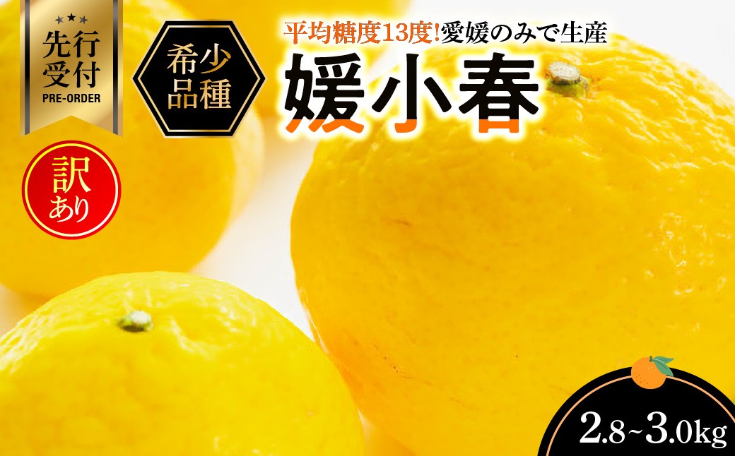 
                  平均糖度13度!愛媛限定生産の希少品種「媛小春」(2.8kg～3.0kg)＜訳あり＞＜C56-47＞_訳あり わけあり 柑橘 フルーツ くだもの 果物 青果 ふるーつ 甘い ジューシー 常温 産直 旬 愛媛 季節限定 傷 規格外 不揃い 希少 【1486141】 YWTAS037
                
