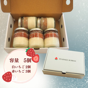 プリン 紅白プリン 5個入り イチゴ 苺 赤いちご 白いちご デザート フルーツ 果実 冷凍 ※配送不可:離島