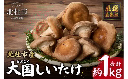 『大国しいたけ』菌床しいたけ　1kg しいたけ  厳選 高級 椎茸 きのこ 肉厚 ジューシー 新鮮 山梨県産 北杜市産