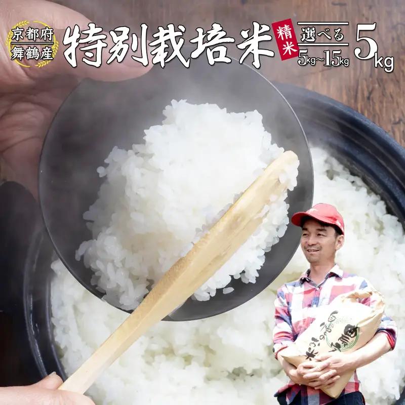 令和8年度産 新米 棚田米 5kg 精米 コシヒカリ 特別栽培米 7割削減  白米
