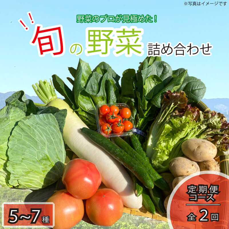 
定期便 年2回 新鮮 旬の野菜セット 5~7品目 詰合せ セット 旬 新鮮 季節の野菜 野菜 やさい なすび ブロッコリー キャベツ 白菜 レタス サニーレタス ほうれん草 きゅうり ピーマン とうもろこし トマト ミニトマト 大根 絹さやえんどう インゲン豆 玉ねぎ じゃがいも すだち 産地直送 ギフト プレゼント 贈答 お取り寄せ グルメ 送料無料 阿波市 徳島県 ヨコタコーポレーション
