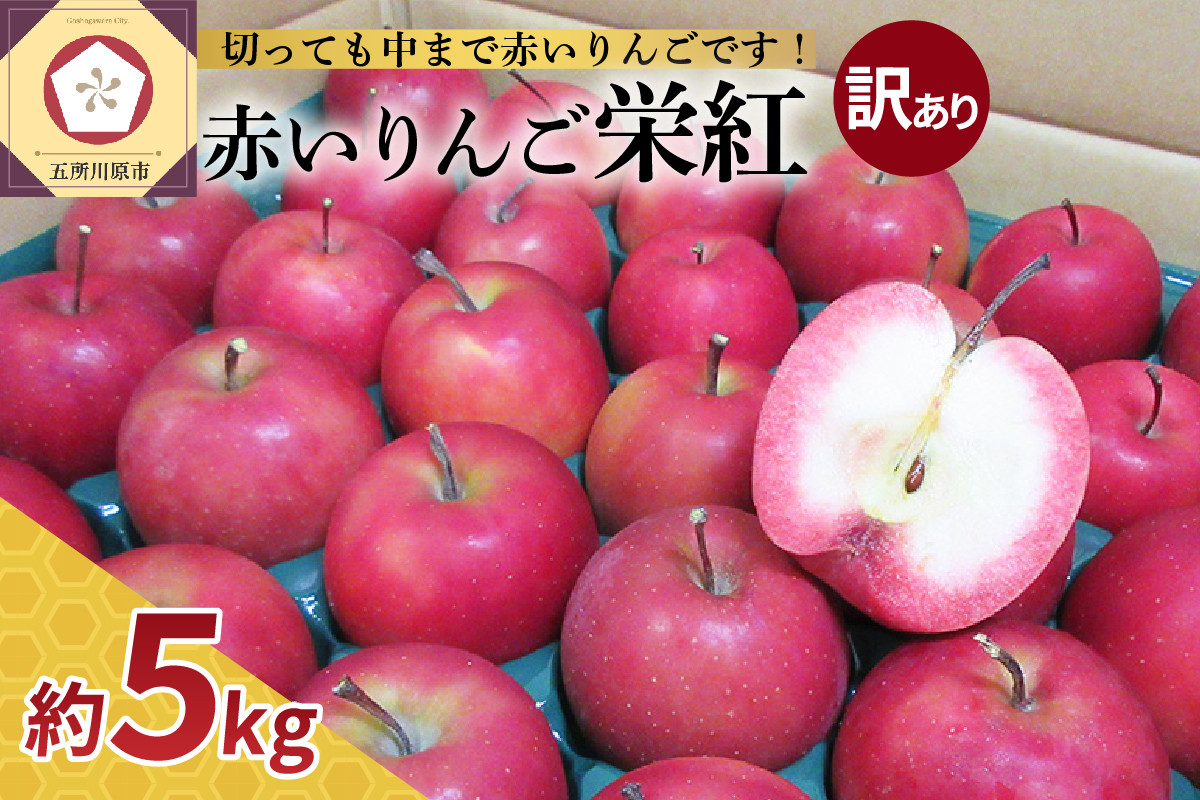 
【選べる配送時期】中まで赤～い りんご【栄紅】 訳あり 約 5kg 青森県 五所川原市 チョイス限定
