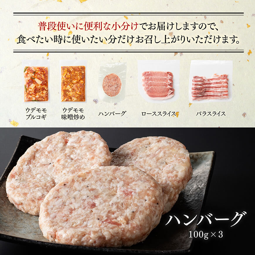 「まるみ豚」宮崎県産豚肉　人気セット　計1.1kg  豚肉 豚 肉 国産 川南町 ウデ モモ ハンバーグ ローススライス バラスライス [D11512]