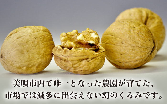 幻の北海道美唄産 くるみ 450g | 殻付き カシグルミ かし胡桃 上村農園 北海道 | アンテナショップPiPaセレクト [BOAK063]