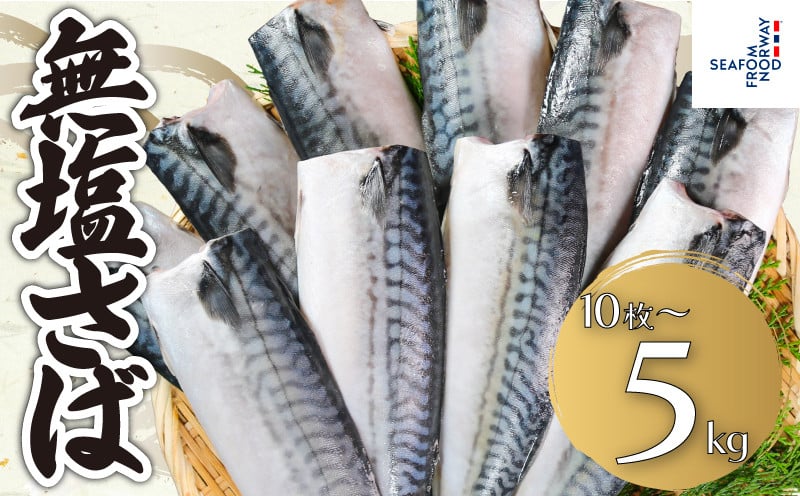 
            無塩さば 【選べる容量】 10枚～5kg さば 鯖 無塩 無塩鯖 さばフィーレ 鯖フィーレ さばフィレ 鯖フィレ 食塩不使用 切り身 切身 無添加 添加物不使用 小分け 個別冷凍 お弁当 惣菜 おかず 塩焼き 味噌煮 調理用 料理 冷凍 冷凍品 長期保存 保存食 鮮度 お取り寄せ グルメ 食品 魚 大容量 ギフト 贈り物 海鮮 ふるさと納税 ふるさと納税さば 送料無料 千葉県 銚子市 エドノフーズ
          