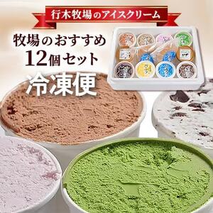 【行木牧場のアイスクリーム】牧場おすすめ12個セット「しぼりたて牛乳で作りました」ZE-3rr【配送不可地域：離島】【1491609】