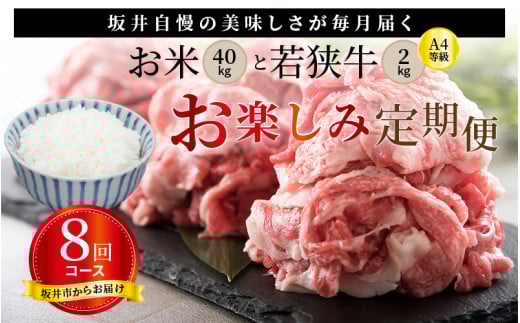 
            【定期便 8回コース】 坂井市産コシヒカリ 計40kg ＋ 若狭牛切り落とし 計2kg [N-3205]
          