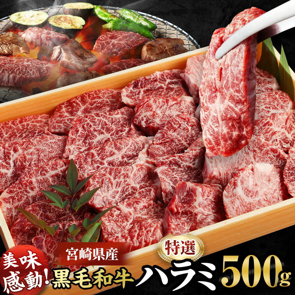 【ふるさと納税】＜宮崎県産黒毛和牛特選ハラミ500g＞ ※入金確認後、2026年8月末迄に順次出荷します。はらみ ホルモン 牛肉 特産品 牛乃屋 キャンプ 宮崎県 高鍋町 【冷凍】