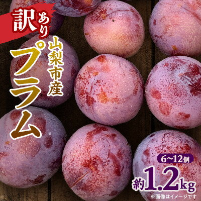 【ふるさと納税】【先行予約】訳ありプラム(すもも) 約1.2kg(6～12個)【配送不可地域：離島】【1714479】