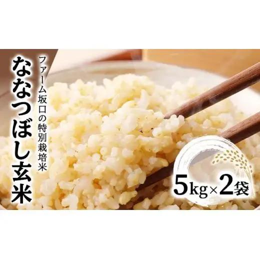 令和8年産！ファーム坂口の特別栽培米 ななつぼし玄米 10kg (5kg×2袋)