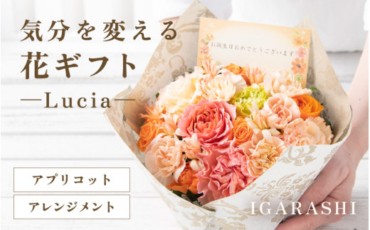 気分を変える花ギフト -Lucia- (アレンジメント・アプリコット) [aw062-a002_05]