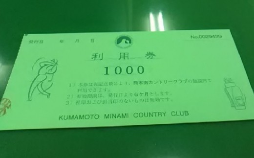 ※この返礼品に関しては、画像の利用券が１２枚となります。