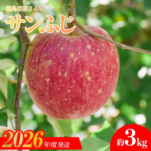 No.1472 りんご「サンふじ」約5kg【2026年度発送】