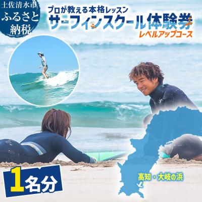 ふるさと納税 土佐清水市 高知・大岐の浜 サーフィン スクール 体験券 1名分(レベルアップコース)【R01594】