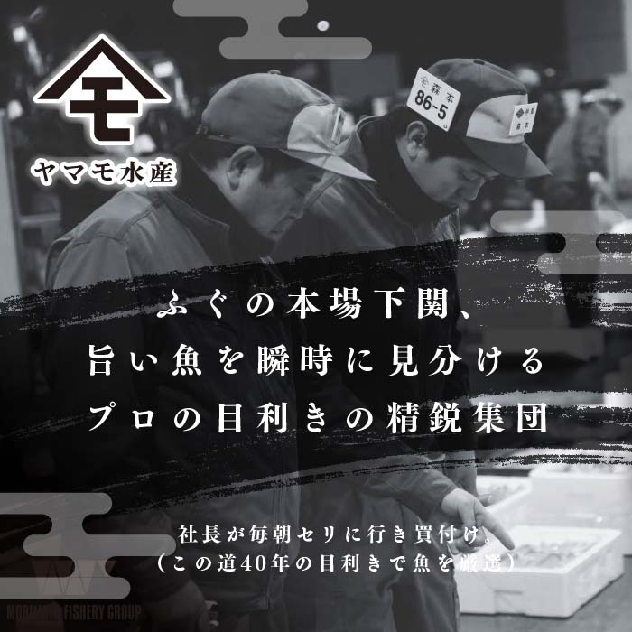 天然真ふぐ刺身満足セット 4～5人前 真ふぐ刺身 120g 冷凍