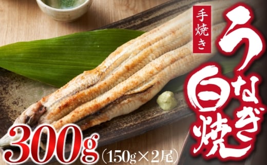 九州産手焼きうなぎ白焼き 2尾（約300g） [M635-1]