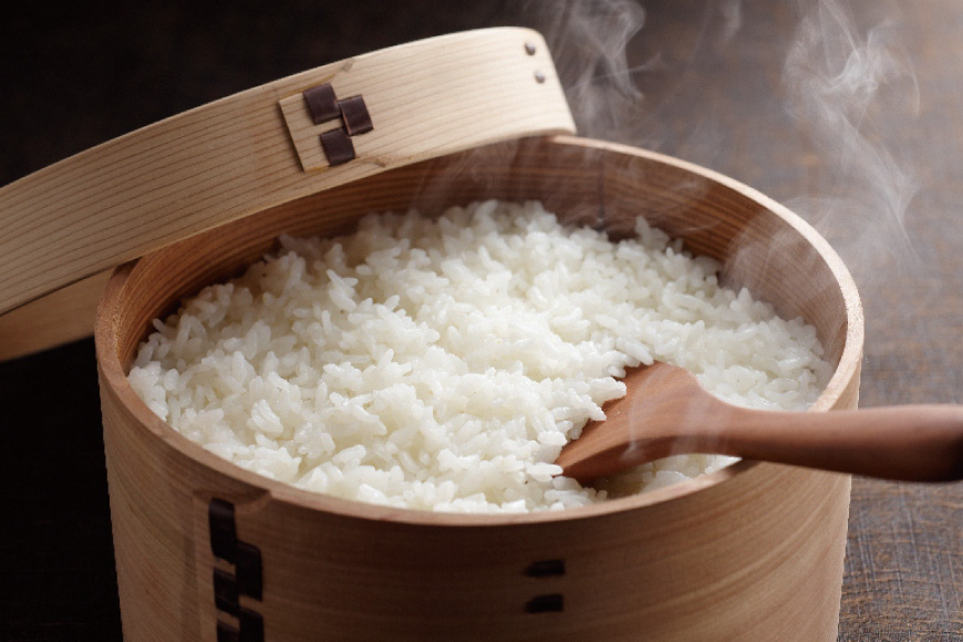 米 令和7年 棚田米 5kg 2袋 計 10kg 12回 定期便  総計120kg [ひらど新鮮市場 長崎県 平戸市 hr42bgy400177] 令和7年産 コメ こめ ごはん ご飯 こしひかり ひ