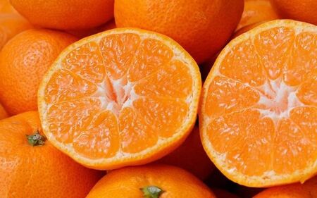 ＼光センサー選別／ 【農家直送】有田みかん 約10kg  大玉3L以上 有機質肥料100% ※2025年12月初旬～12月末に順次発送(お届け日指定不可) / みかん 大玉 蜜柑 有田 柑橘 フルーツ