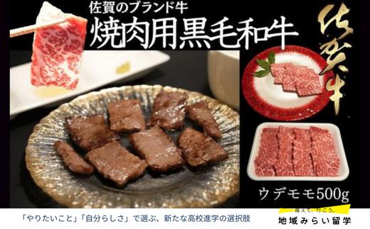 
                  【セット】A4 A5 佐賀牛 ウデ モモ 500g 焼肉用
                