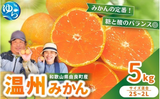 
                  温州みかん 5kg 2S～2Lサイズ混合 11月発送  / 温州 ミカン 農家直送　完熟 密柑 くだもの  果実  柑橘 果物 フルーツ 和歌山県 由良町 人気 おすすめ 産地直送 ※2026年11月中旬頃～11月下旬頃に順次発送予定【nktn004-r-5-nov】
                
