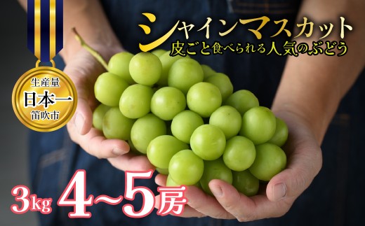【2026年発送★先行予約】山梨県笛吹市産 シャインマスカット 約3kg 4～5房 皮ごと食べられる人気のぶどう 262-011-26y