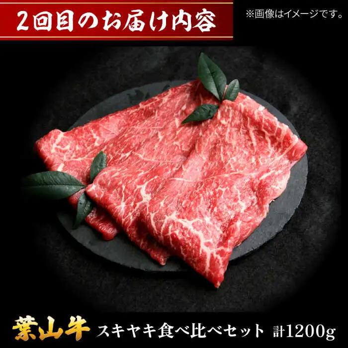 【全3回定期便】毎月内容が変わる！葉山牛お楽しみ便 牛肉 食べ比べ[ASAP087]