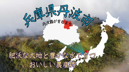 丹波産コシヒカリ 霧の恵み® 15kg