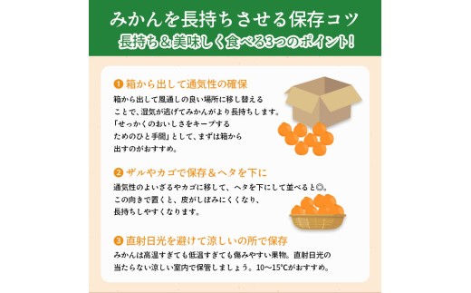 11月下旬～ 先行予約 小原紅早生みかん 約3kg  果物 フルーツ みかん 蜜柑 紅みかん 柑橘 温州みかん デザート スイーツ ケーキ ジュース ゼリー アイス シャーベット ジェラート フルーツ