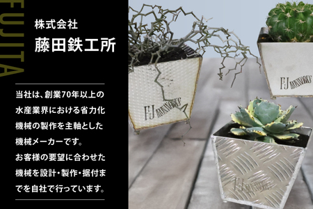 植木鉢 BOTANICAL POT SSP-M 1点 [藤田鉄工所 宮城県 気仙沼市 20565001] プランター 鉢 植木 おしゃれ 室内 多肉植物 アガベ ステンレス 金属 花 ガーデン DIY