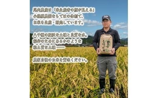 【定期便5kg×3か月】令和7年度産 ヒノヒカリ 精米 八千種米 お米 5kg 白米 新米 米 ごはん 兵庫 兵庫県産 世界かんがい施設遺産登録『西光寺野疏水路』 お米 回数：３回定期便
容量：5Kg