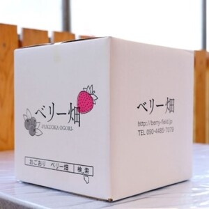 いちご 冷凍いちご 福田ファーム いちご【500g×4】【冷凍】