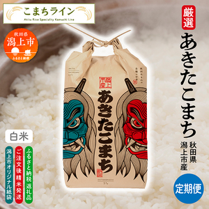 《令和7年産》【6か月定期便】《白米》あきたこまち なまはげ 米袋 米 20kg(5kg×4)×6回 一等米 ギフト パッケージ 限定デザイン 紙袋 リメイク 工作 お面 こども お土産 秋田 潟上市 【こまちライン】