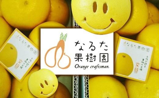 成田果樹園の土佐文旦10kg家庭用A