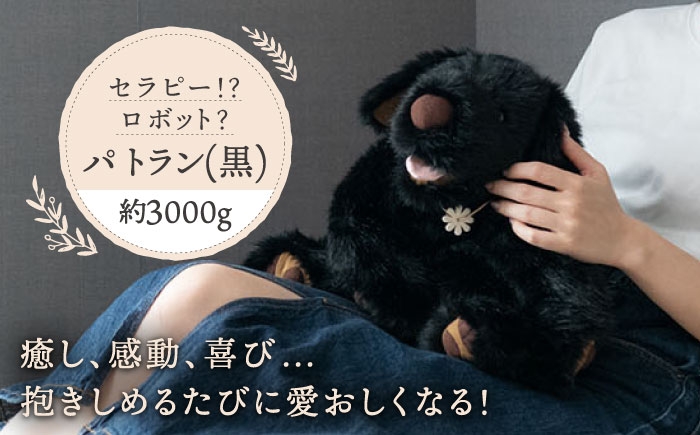 
犬型セラピー？！ロボット？パトランの黒（通称：クロラン） 犬 ぬいぐるみ 糸島市 / 科学工房未來 [AYI002]
