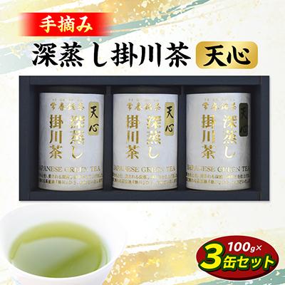ふるさと納税 掛川市 手摘み 深蒸し掛川茶 天心 100g×3缶セット 箱入包装
