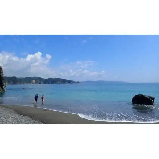 【  シーカヤック 体験チケット 】 よくばり 神島コース 高知県