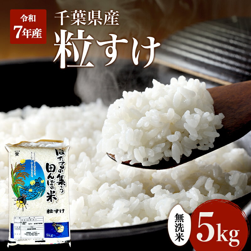 【ふるさと納税】【先行予約・令和8年産】 粒すけ 無洗米5kg 米 精米 お米 おこめ コメ 単一原料米 新品種 お米マイスター ご飯 千葉市　お届け：2026年8月25日から