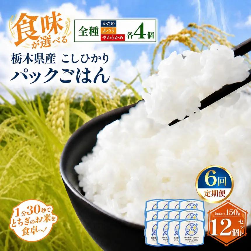 【定期便6回】栃木県産こしひかり パックごはん(全種)　各4個　計12個