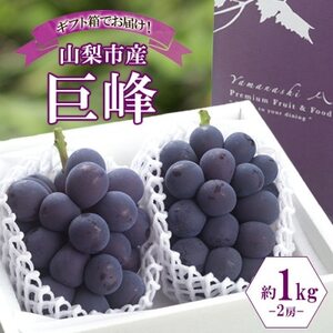 山梨県山梨市産の巨峰 2房 約1kg【配送不可地域：離島・沖縄県】【1513024】