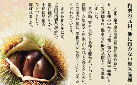 がんね栗衛門 ミニ 3個入 がんね栗の栗きんとん 無添加【がんね栗の里】