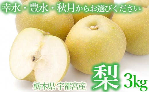 【豊水】梨 3kg箱 幸水 豊水 秋月 栃木県 宇都宮市産 ※離島への配送不可