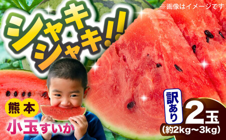 【2026年5月より発送 数量限定】訳あり 小玉すいか 2玉 計約2kg~3kg スイカ [AYAT009]