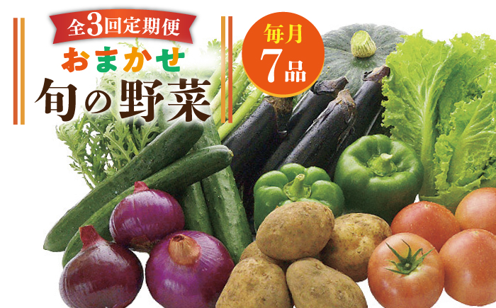 【全3回定期便】旬の野菜セット 7品 [JBO044] 野菜 やさい 旬 セット 詰め合わせ 27000 27000円