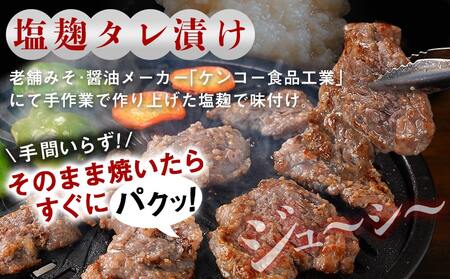 牛ハラミ 塩麹タレ漬け900g_LG8-3309_(都城市)  味付き牛ハラミ 300gパック 真空 小分け 900g