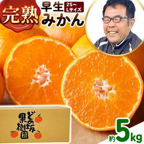 ＜先行予約＞ 早生 みかん 約5kg (2S～Lサイズ) どの坂果樹園《12月上旬-1月末頃出荷》 和歌山県 日高町 みかん 早生 旬 柑橘 フルーツ 果物 蜜柑 ミカン 先行予約
