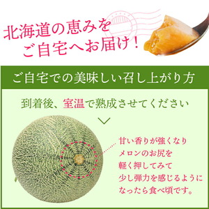 北海道石狩産 赤果肉メロン1玉 計1.6kg以上