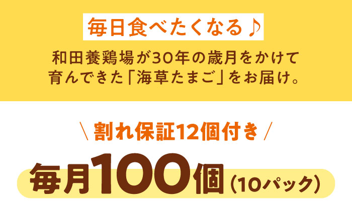 【全12回定期便】平飼い 海草たまご 10パック（100個入り）割れ保証あり 愛媛県大洲市/和田養鶏場 卵 たまご 鶏卵 卵料理 玉子 [AGDQ016]