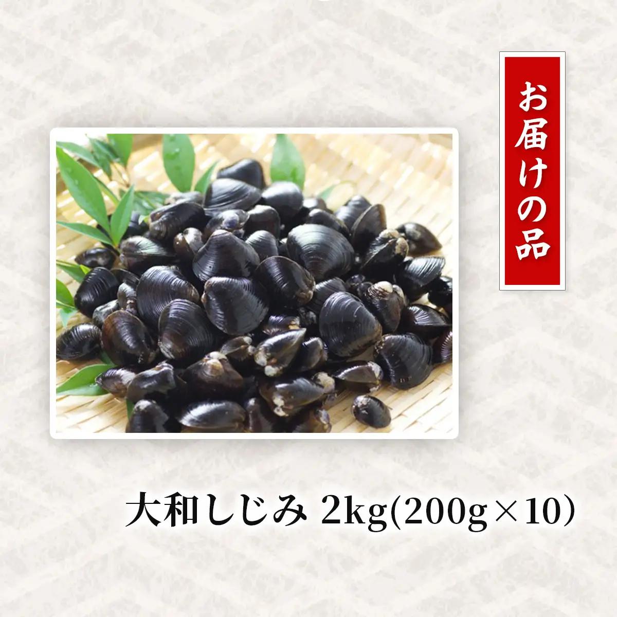 網走湖産 砂出し大和しじみ 2kg(200g×10） ABW117
